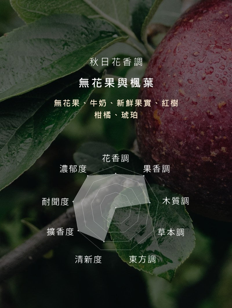 【 針織花擴香系列 】聯名款 x 秋日花香調|無花果與楓葉|水泥擴香瓶 無火香薰