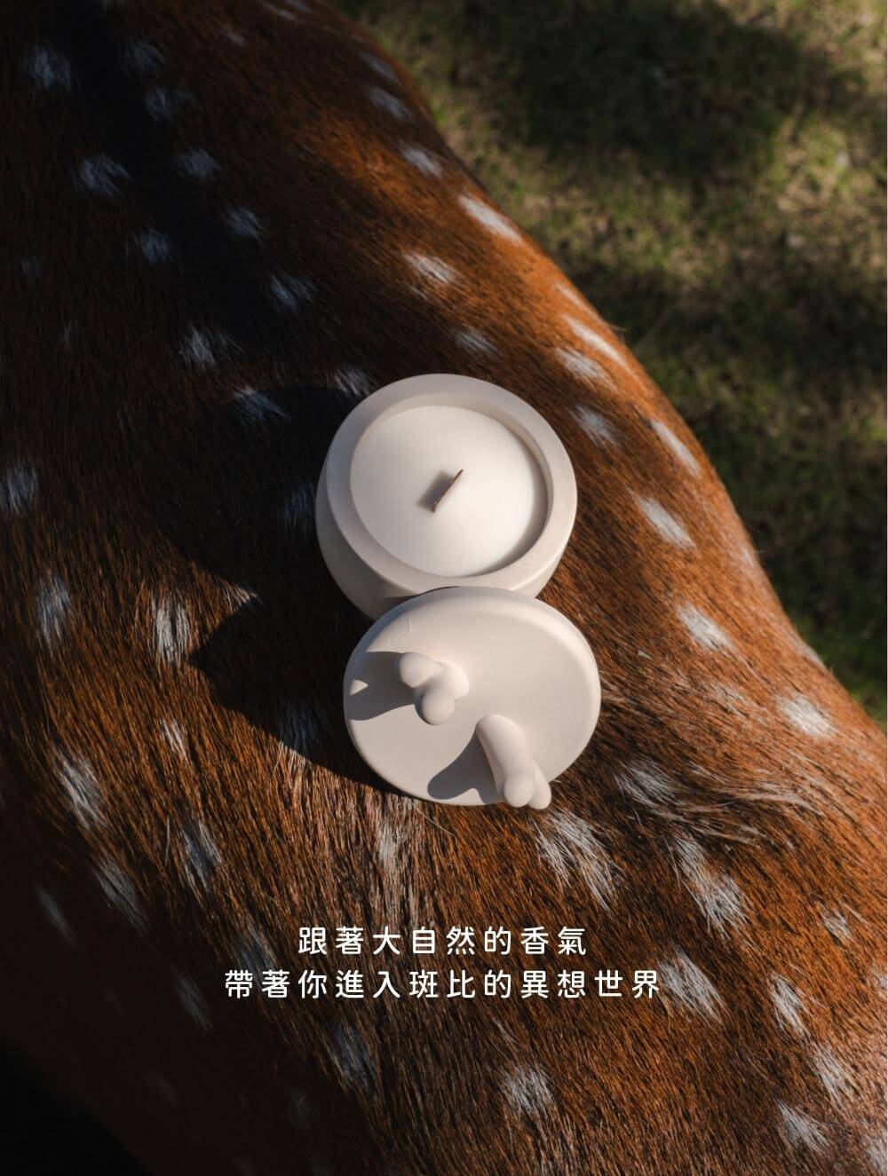 【 🎄 聖誕限定套組禮盒 🎄 暖色系版 】斑比森林 x 黑檸與煙燻